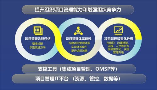 降本增效,聚焦核心 中軟國際項目管理咨詢與工具解決方案助您一臂之力