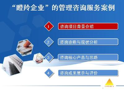 瞪羚企業(yè)咨詢案例-20140619