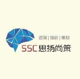思揚(yáng)尚策企業(yè)管理咨詢招聘職位 拉勾網(wǎng) 專業(yè)的互聯(lián)網(wǎng)招聘平臺
