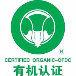 精品推薦 石家莊快易企業(yè)管理咨詢中心