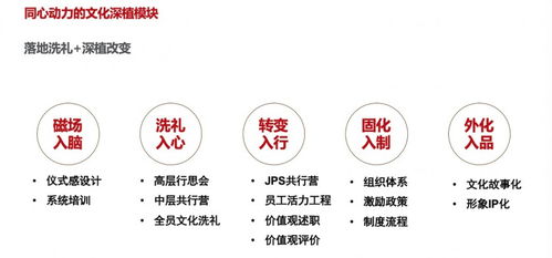 企業(yè)文化管理 我們的專注業(yè)務(wù) 同心動(dòng)力